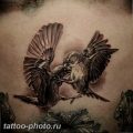 рисунка тату воробей 03.12.2018 №153 - photo tattoo sparrow - tattoo-photo.ru